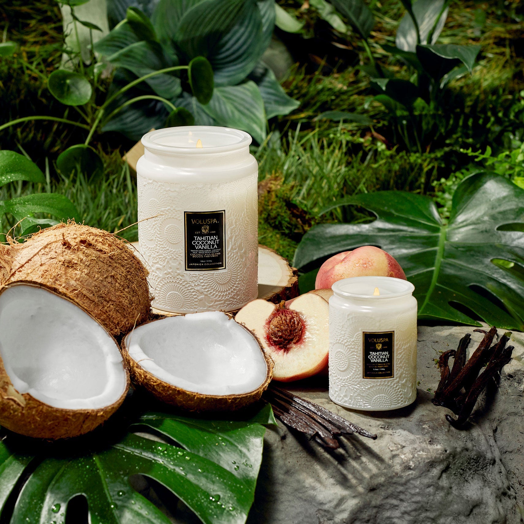 Tahitian coconut vanilla 50 klst kerti