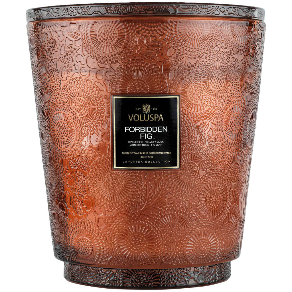 FORBIDDEN FIG 5 WICK HEARTH CANDLE