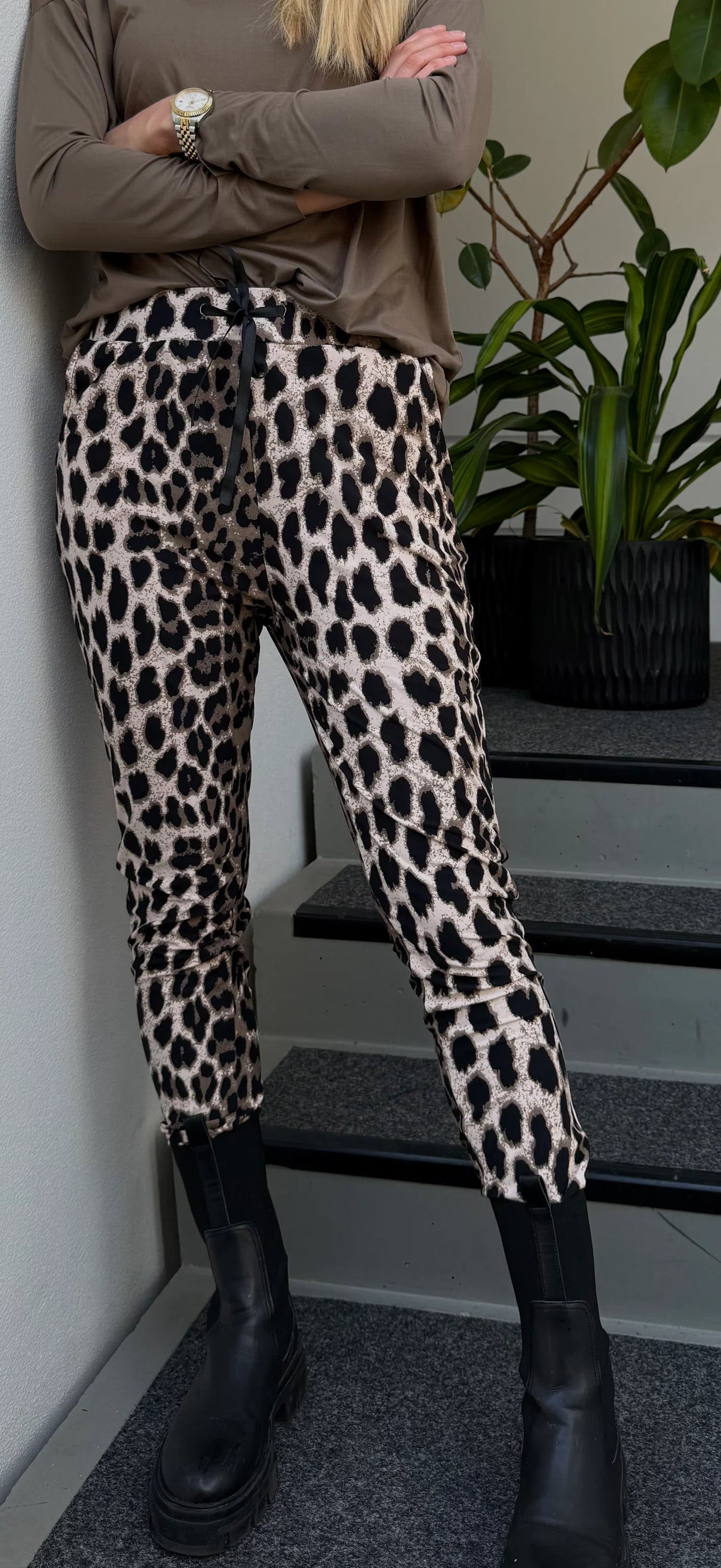 Alma buxur fossil leo