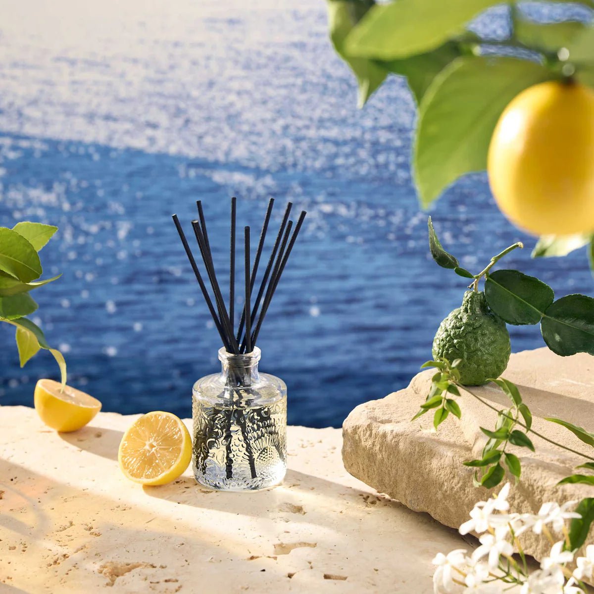 MEDITERRANEAN LEMON Ilmstangir